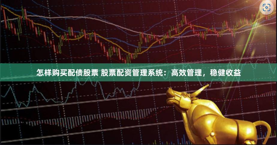 怎样购买配债股票 股票配资管理系统：高效管理，稳健收益